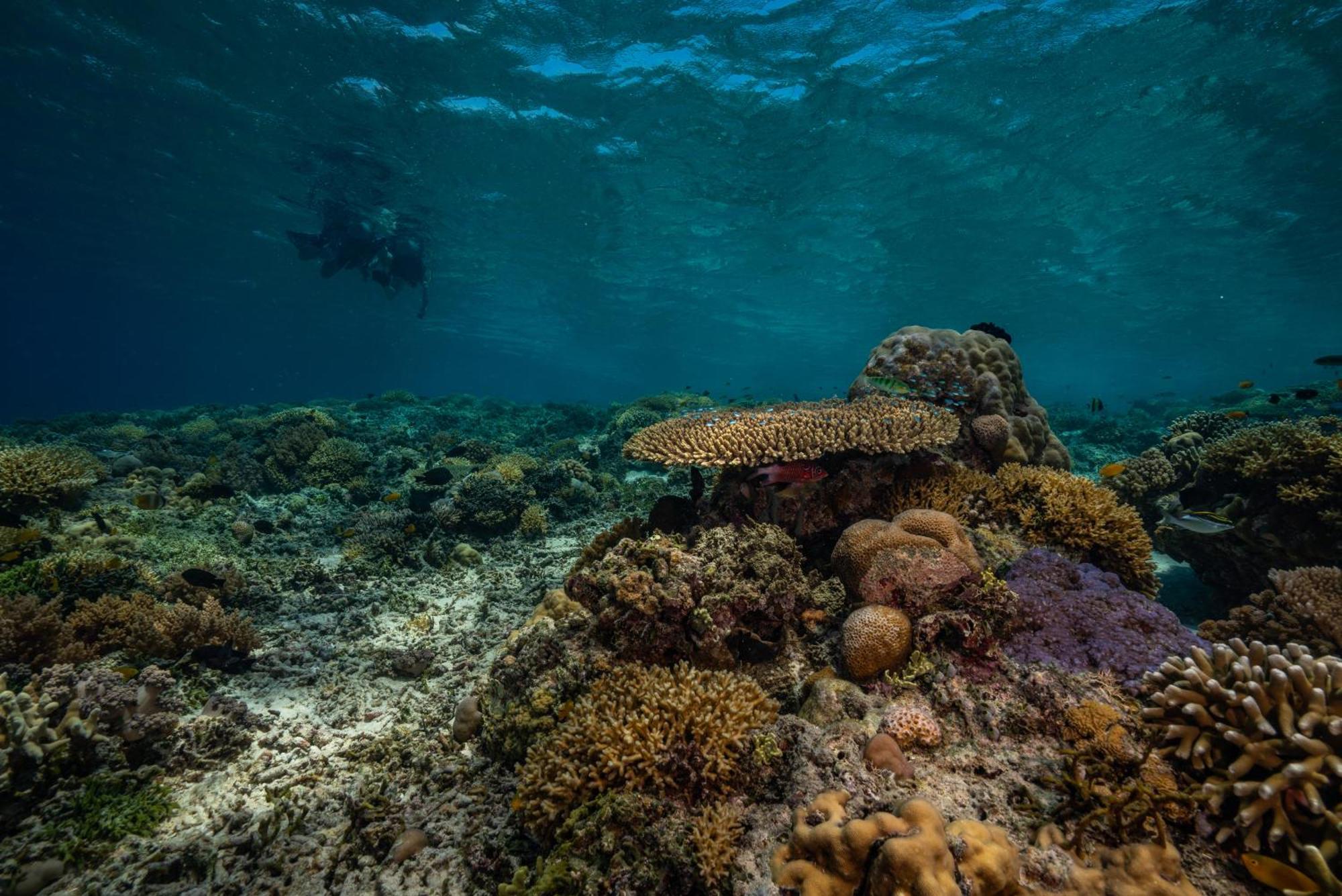 Trawangan Dive Resort Gili Trawangan Esterno foto