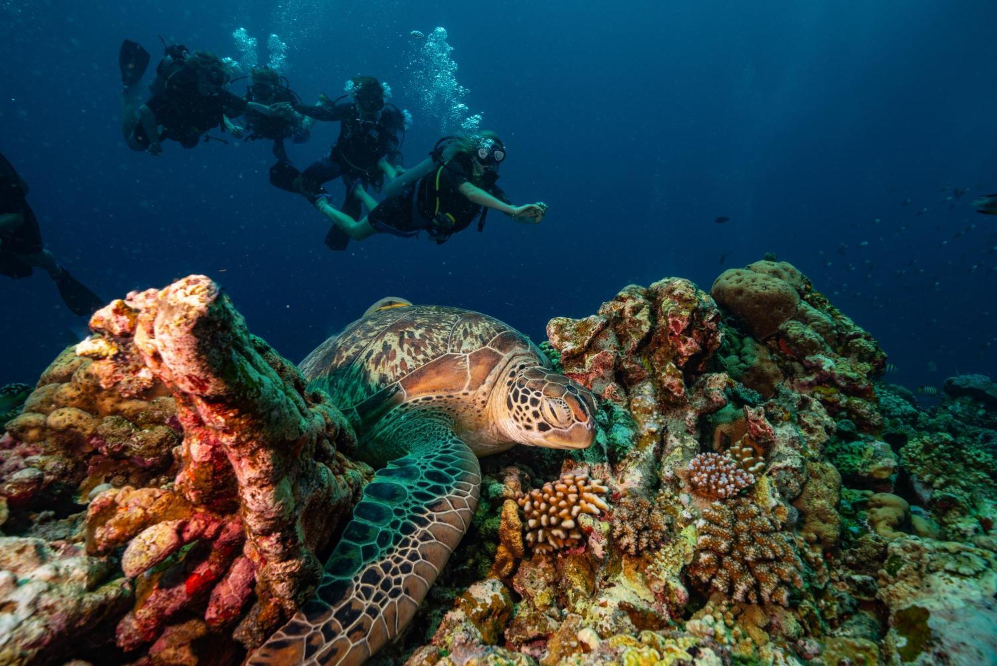 Trawangan Dive Resort Gili Trawangan Esterno foto