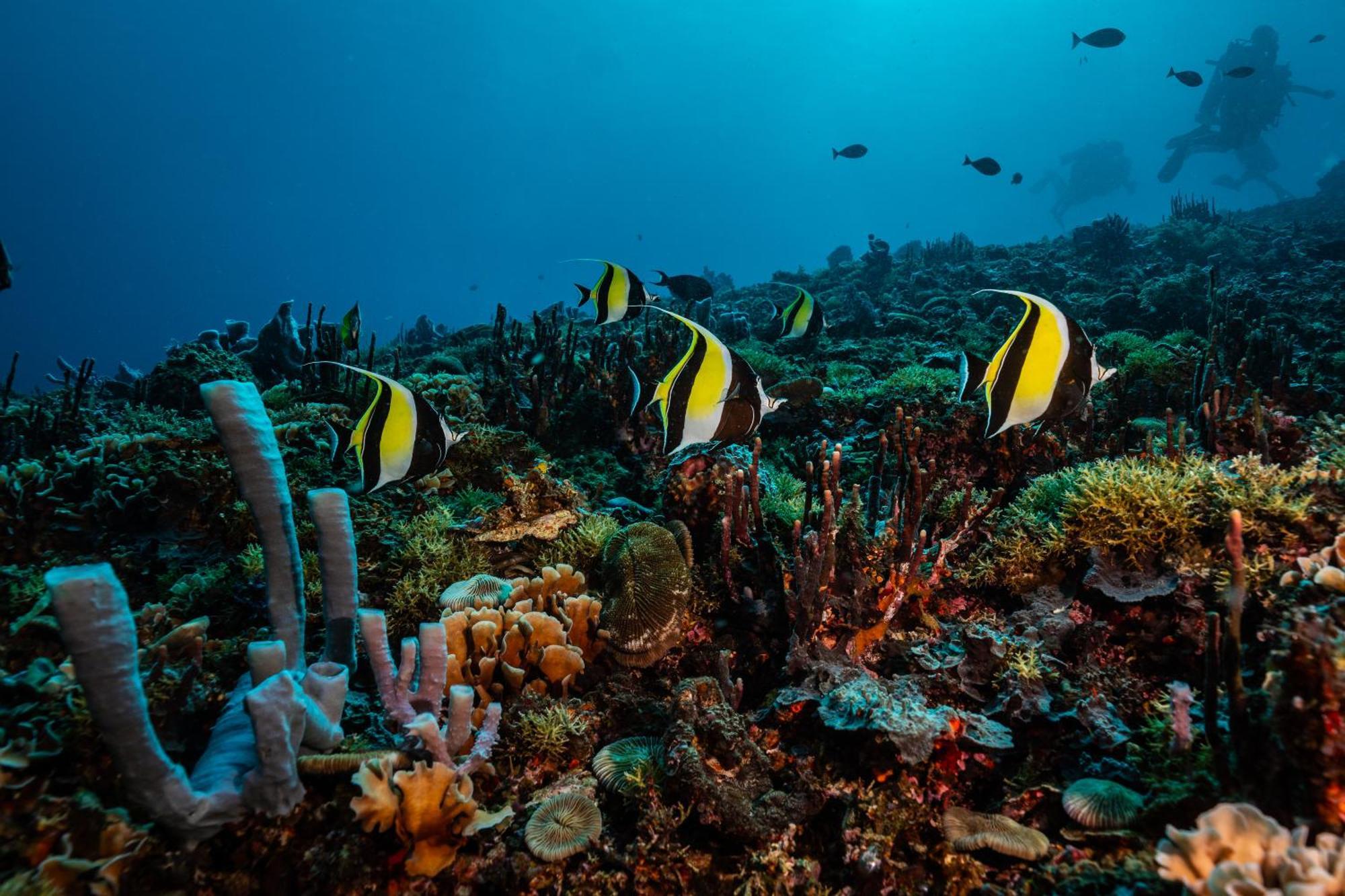 Trawangan Dive Resort Gili Trawangan Esterno foto