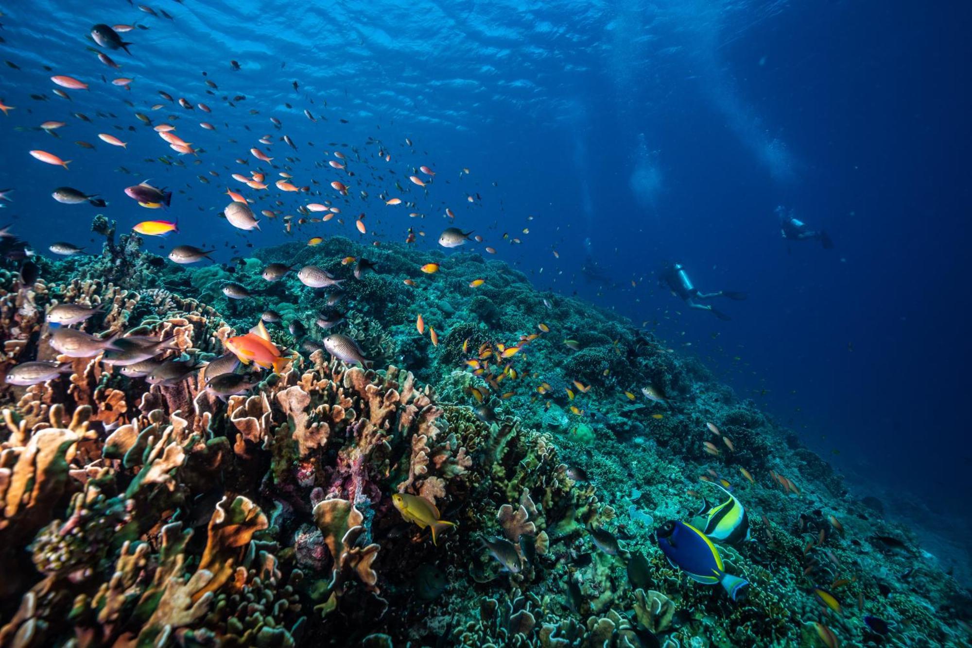 Trawangan Dive Resort Gili Trawangan Esterno foto