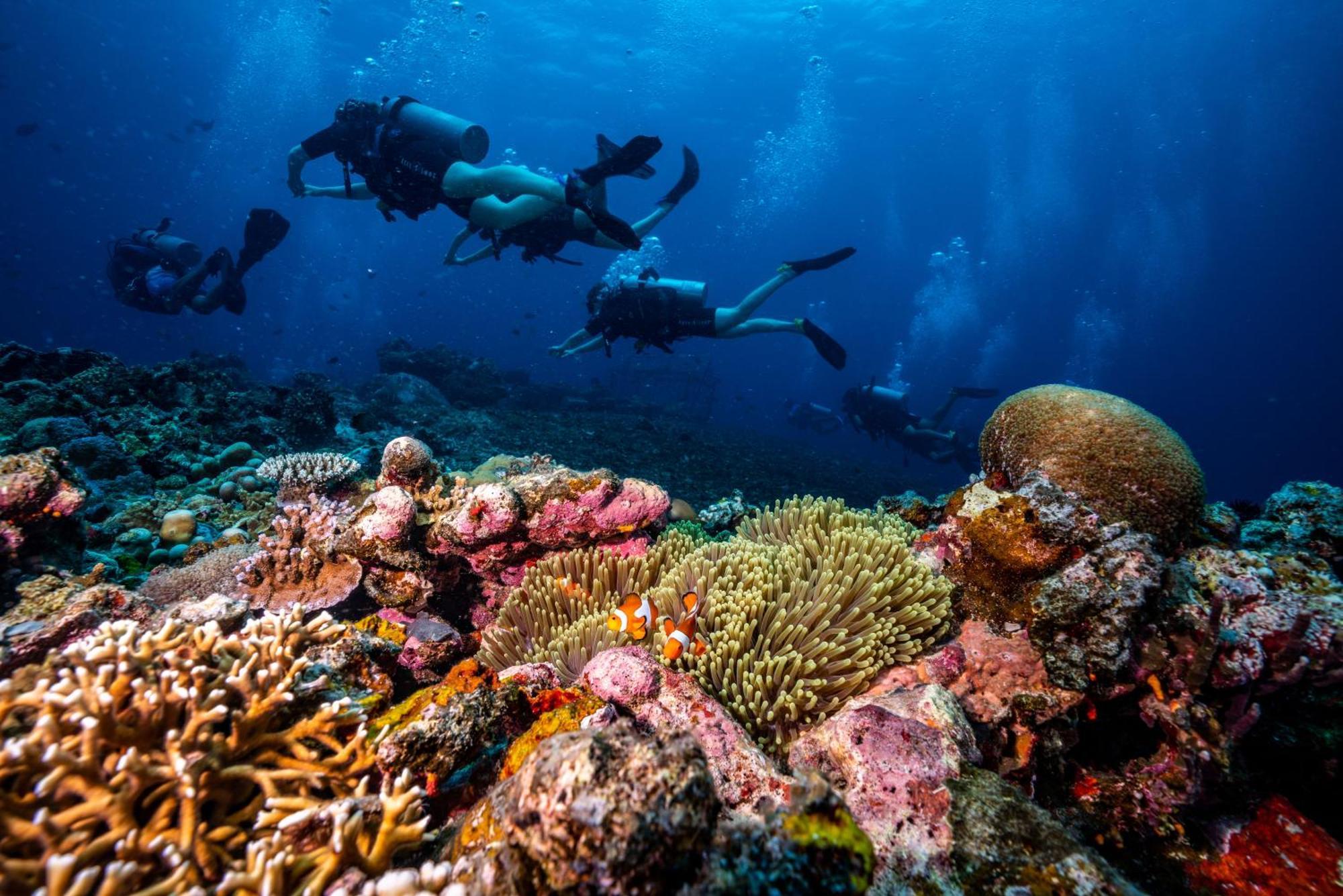 Trawangan Dive Resort Gili Trawangan Esterno foto